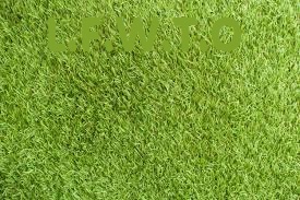 ​DOSSIER D'ENGAGEMENT   POUR   LES ARBITRES (nouveaux et anciens)