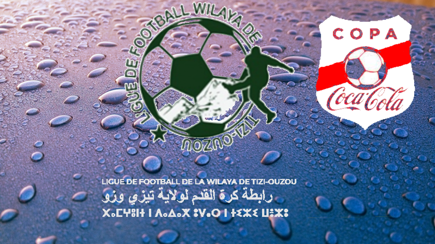 FESTIVAL FAF (COPA COCA-COLA)