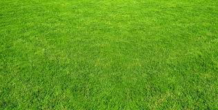 REGROUPEMENT SELECTION U12